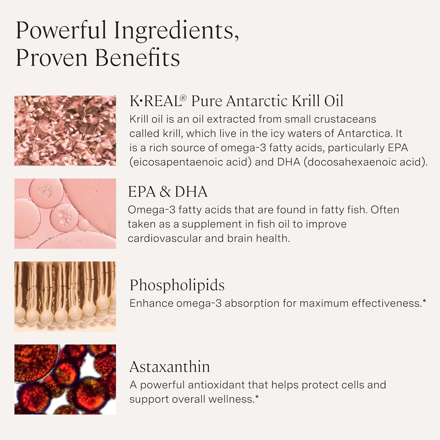 Dynamic Krill Oil 1600mg – Premium Antarctic Omega-3 Supplement with EPA, DHA, Phospholipids & 2mg Astaxanthin – Promotes Heart, Brain, Skin, Joint, and Eye Health – 60 Softgels